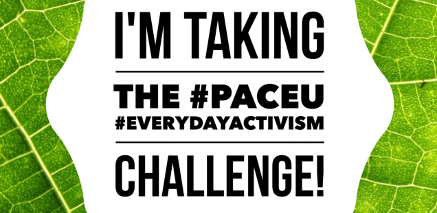 Join the PaceU #EverydayActivism Challenge!