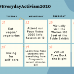 Recapping Weeks 1 and 2 of #EverydayActivism2020